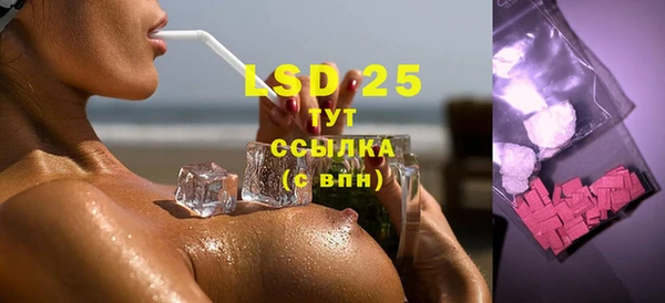 шишки Баксан