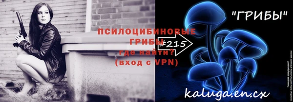 шишки Арсеньев