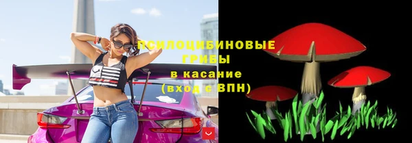 СК Аркадак