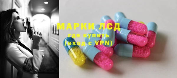 шишки Баксан
