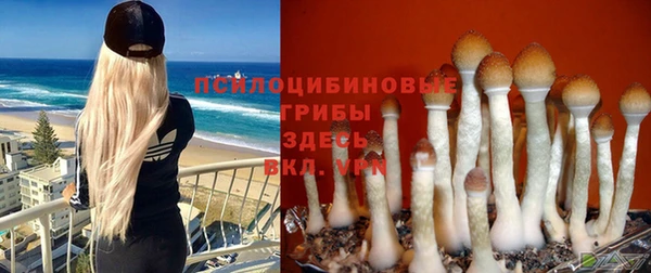 ешки Балабаново