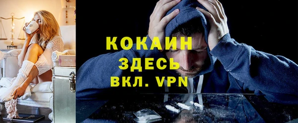 шишки Баксан