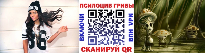 купить  цена  Балабаново  Галлюциногенные грибы MAGIC MUSHROOMS 